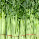 Four Seasons Fragrant Celery Seeds, 5g