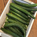 Boya 533 Cucumber, 50 Seeds