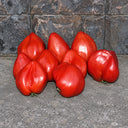 387 Cuore Antico di Acqui Terme Tomato, 5 Seeds