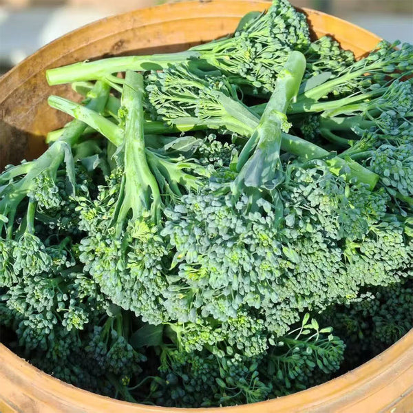 Green Sprouting Broccoli No.2 Hybrid Seeds, 30 Seeds