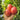 894 Taste Tomato, 5 Seeds