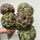 Purple Artichoke, 5 Seeds