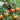 Super Sweet Sandy Strawberry Tomato, 100 Seeds