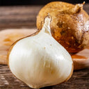 Yam Bean Seeds, 100 Seeds
