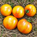 375 Beauty Queen Heart Tomato, 5 Seeds