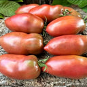 939 Chocolate Pepper Sauce Tomato, 5 Seeds