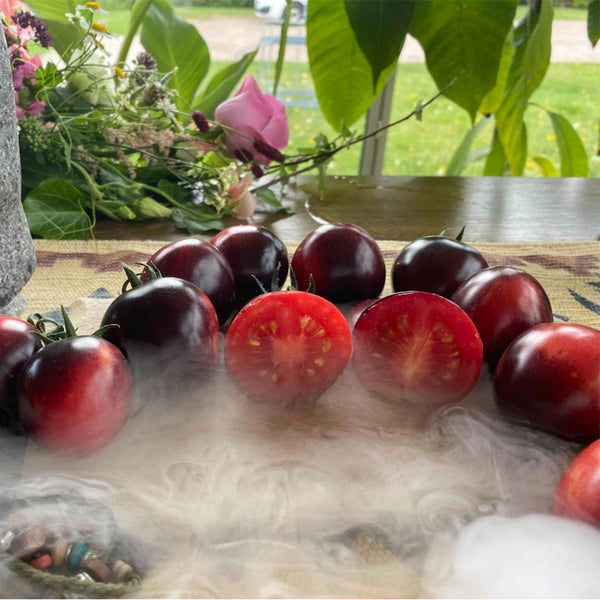 'Fairy Tale Sparkle' Tomato Seeds, 5 Seeds