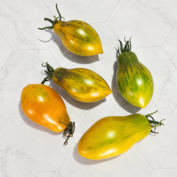 302 Zun Du Jia Du F2 Tomato, 5 Seeds