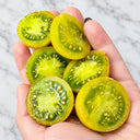 1153 Dwarf Beautiful Ones Tomato, 5 Seeds
