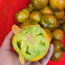 779 Spear's Tennessee Green Tomato, 5 Seeds