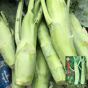 Dajinsun Chinese Kale Seeds, 10g