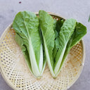 The Four Seasons of Chinese Cabbage Seeds, 5 × 5g Bags