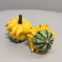 Crown of Thorns Gourd Seeds, 10 Seeds