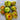 836 KAS/25 Tomato, 5 Seeds