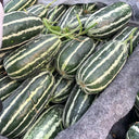 Shengmei No.1 F1 Melon, 200 Seeds