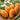 511 Butterscotch Tomato, 5 Seeds