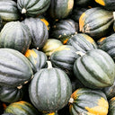 Acorn Squash, 5 Seeds