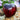 704 KAS/21 Tomato, 5 Seeds