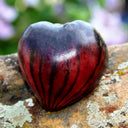704 KAS/21 Tomato, 5 Seeds