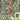 Pink Beibei Cherry Tomato, 30 Seeds