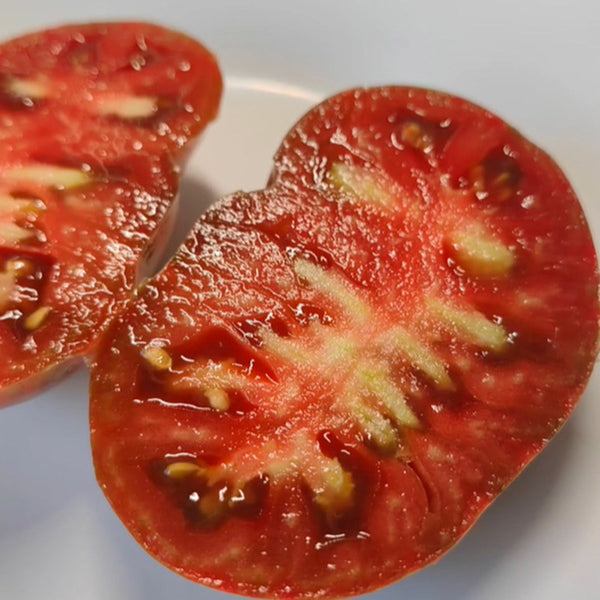 Martha Starfighter Tomato, 10 Seeds