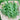 Arugula Seeds, 5g