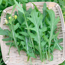 Arugula Seeds, 5g