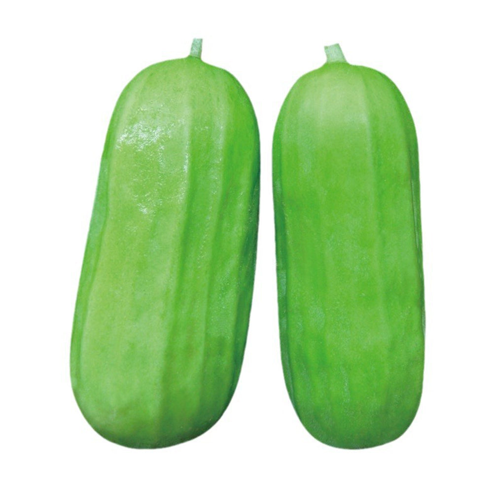 Eight-ridged Cucumber Seeds