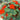 Royal Scarlet' Red Nasturtium Seeds, 50 Seeds