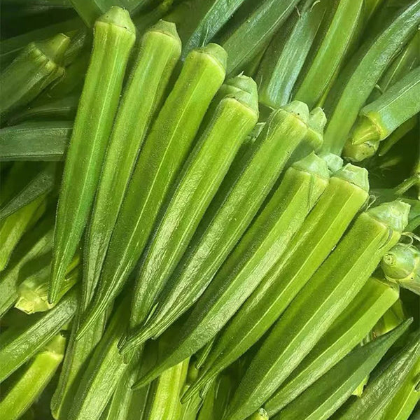 Traditional Okra Seeds, 10g