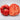 449 Taras Bulba Tomato, 5 Seeds