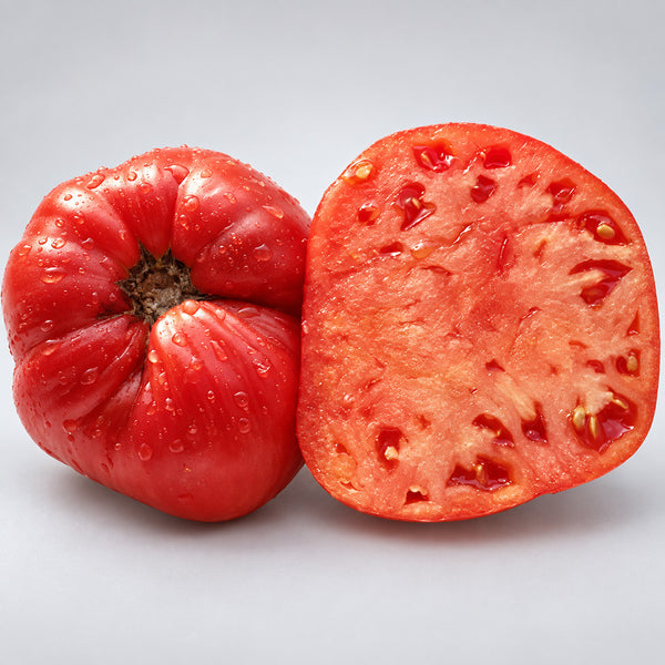 449 Taras Bulba Tomato, 5 Seeds