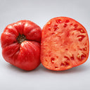 449 Taras Bulba Tomato, 5 Seeds