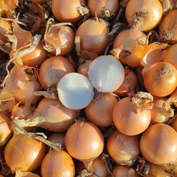 Imperial Topaz' Yellow Onion Seeds, 10g
