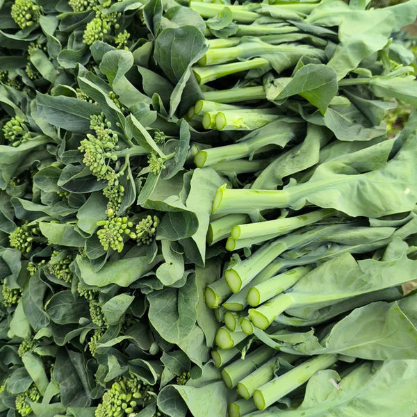 MeiBao Chinese Kale Seeds, 10g