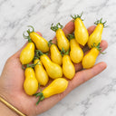 1145 Sweet Snow Pear Tomato, 5 Seeds