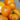 740 Moldovan Gold Tomato, 5 Seeds