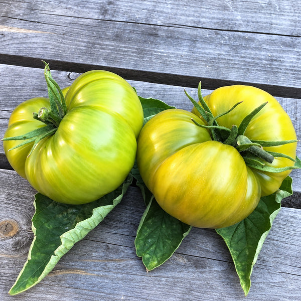 217 Green Pineapple Tomato, 5 Seeds