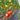 589 Linnaeus Heart Tomato, 5 Seeds