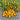 61 Mille Fleurs Tomato, 5 Seeds