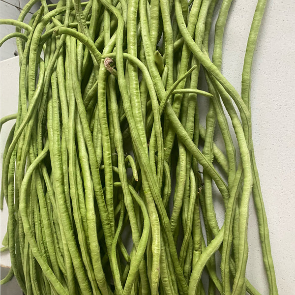 Jiemei No.6 Long Bean Seeds, 20g
