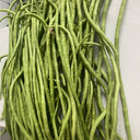 Jiemei No.6 Long Bean Seeds, 20g