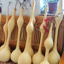 Wild Goose Neck Gourd, 5 Seeds