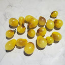 568 Indigo Kumquat F1 Tomato, 5 Seeds