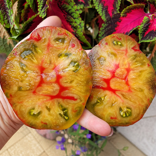 661 Happiness F6 Tomato, 5 Seeds