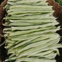 Bai Fumei Pole Bean Seeds, 200g