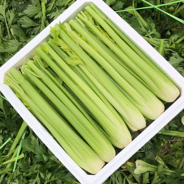 Crispy Jade Celery Seeds, 10g