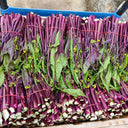 Xishuai Purple Stem Mustard Seeds, 500 Seeds