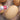 'Large Winter Melon' Gourd, 5 Seeds