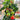 Dwarf Compact Red Cherry Tomato, 100 Seeds